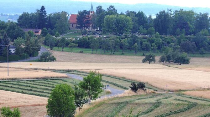 Blick auf die »Steinsbreite« im Süden von Belsen. Das entdeckte grabenumgebene Rechteck liegt in der Bildmitte.  GEA-FOTO: MEYER