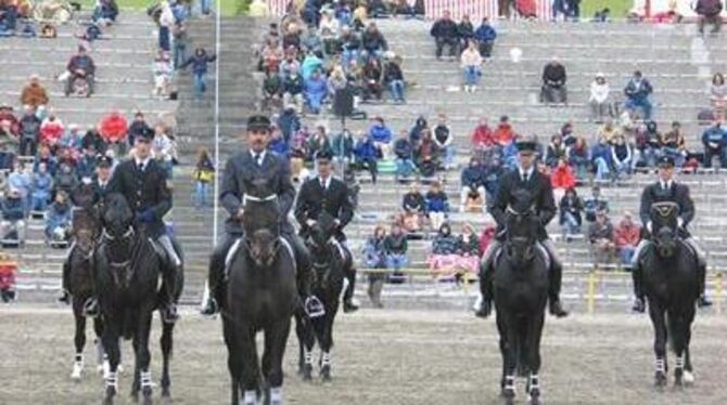 Hauptprobe der Marbacher Hengstparade. GEA-FOTO: OEL