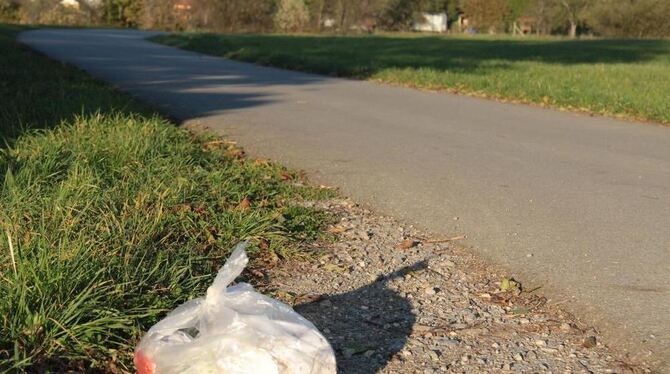 Illegal entsorgter Müll an der Straße von Belsen in Richtung Beuren. Das Problem soll sich durch mehr Überwachung, drohende Bußg
