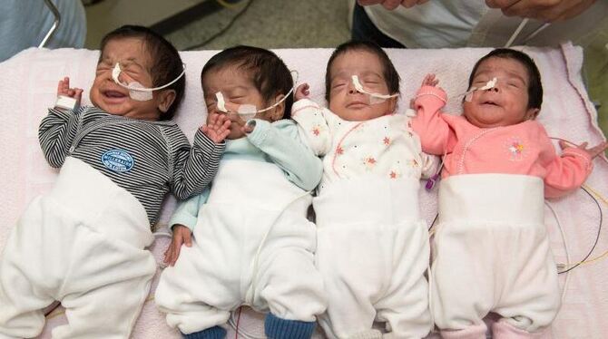 Geburt ohne Komplikationen: Khalid, Ali, Raya und Danya entwickeln sich gut im Klinikum Harlaching in München. Foto: Städtisc