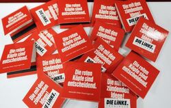 Streichhölzer mit dem Logo der Partei Die Linke Foto: Jens-Ulrich Koch/Archiv