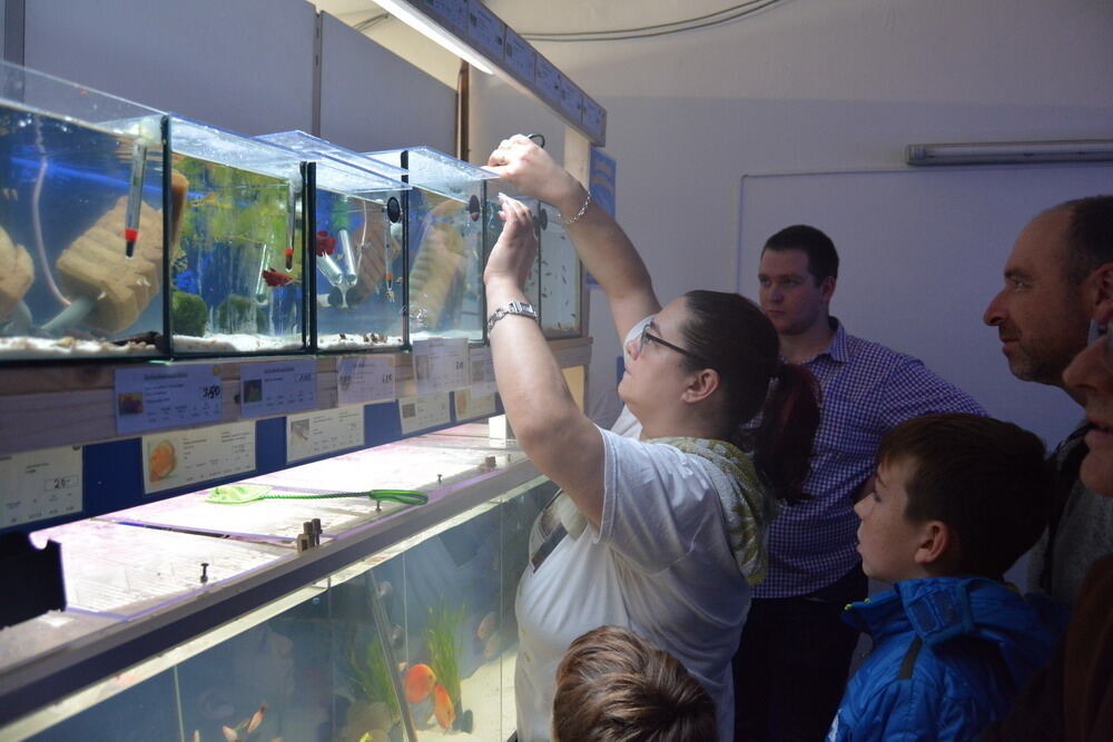 Aquarien- und Terrarien-Ausstellung Mössingen