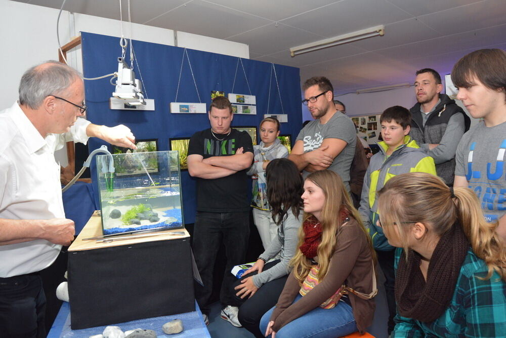 Aquarien- und Terrarien-Ausstellung Mössingen