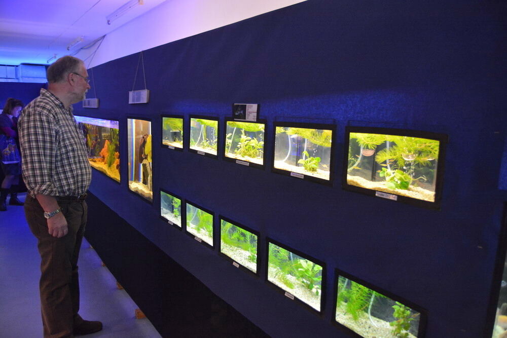 Aquarien- und Terrarien-Ausstellung Mössingen