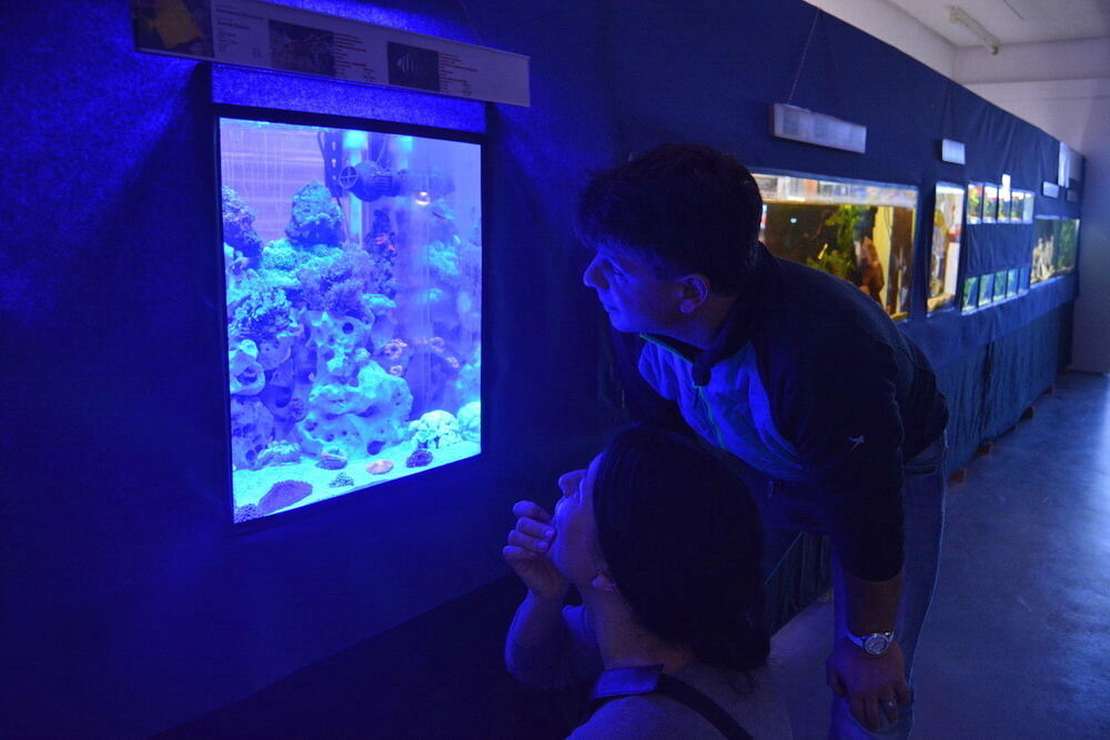 Aquarien- und Terrarien-Ausstellung Mössingen