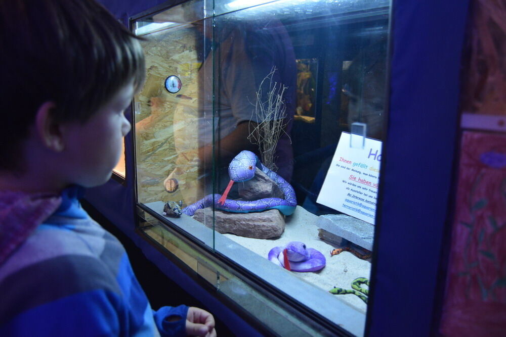 Aquarien- und Terrarien-Ausstellung Mössingen