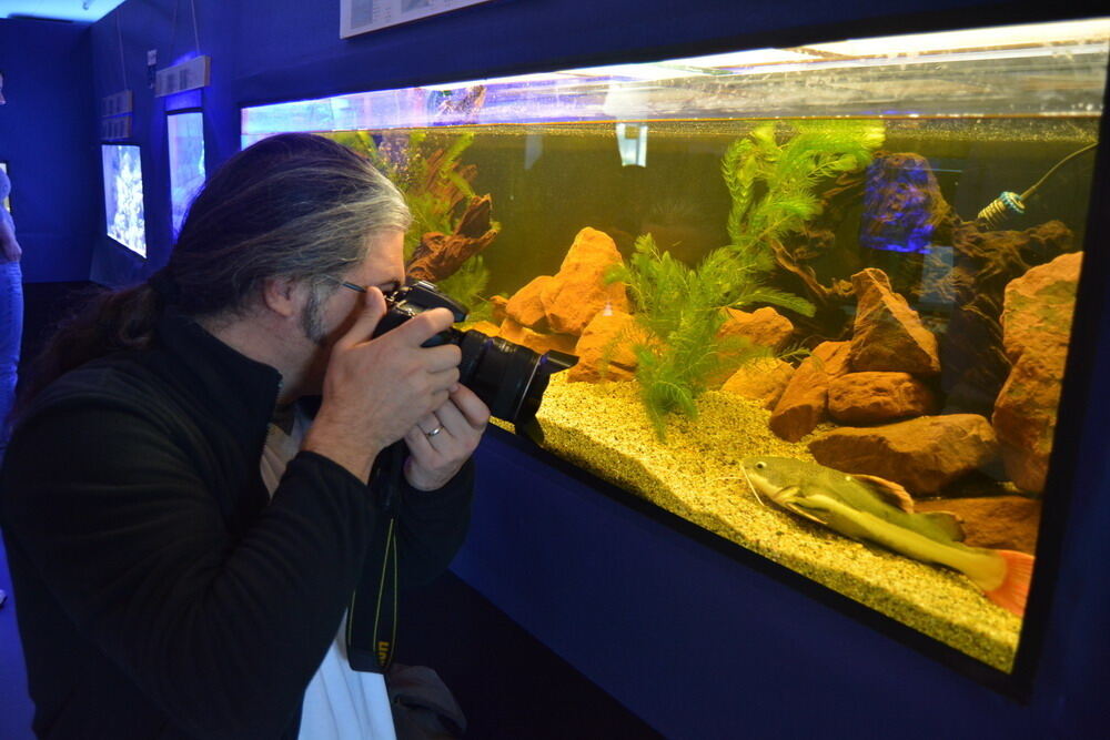 Aquarien- und Terrarien-Ausstellung Mössingen