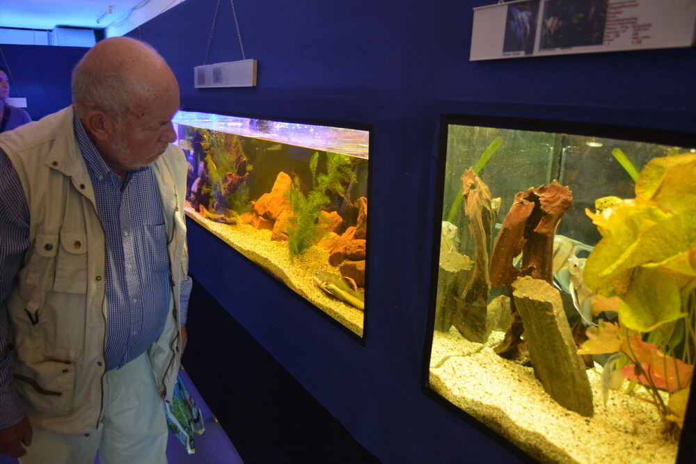 Aquarien- und Terrarien-Ausstellung Mössingen