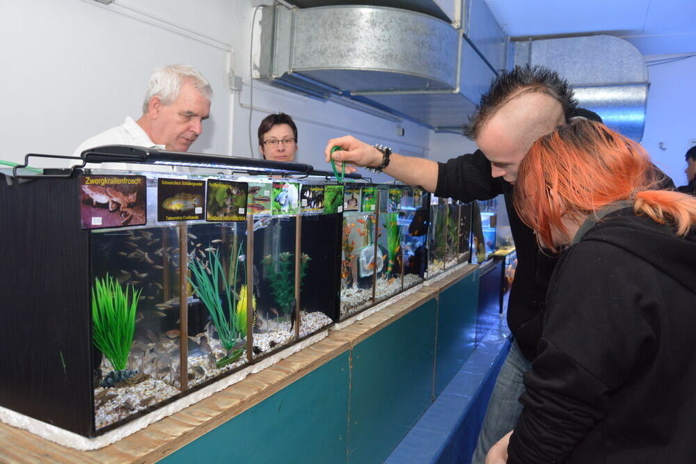 Aquarien- und Terrarien-Ausstellung Mössingen