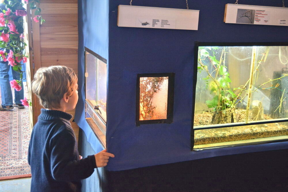 Aquarien- und Terrarien-Ausstellung Mössingen