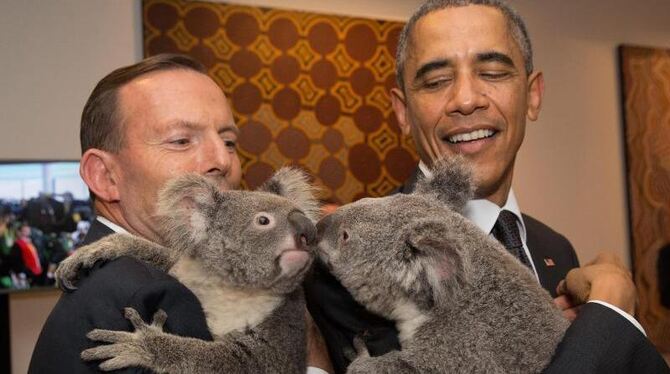 Australiens Premierminister Tony Abbott (l) und der US-Präsident Barack Obama herzen Koalas. Foto: Andrew Taylor