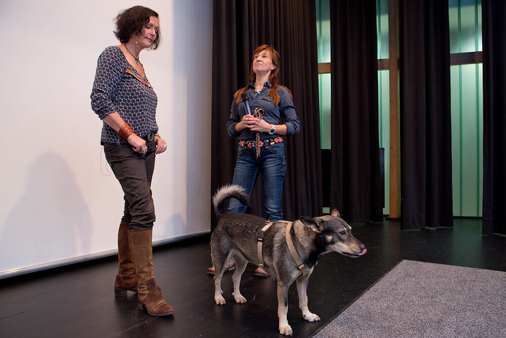 »Hundeflüsterin« Maike Nowak in Gomaringen