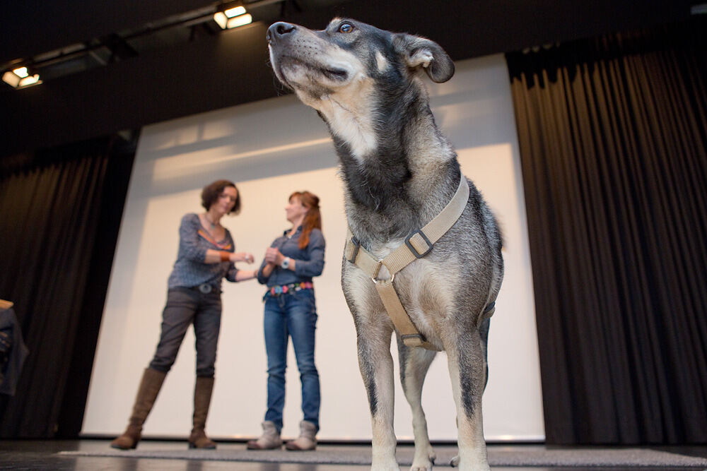 »Hundeflüsterin« Maike Nowak in Gomaringen