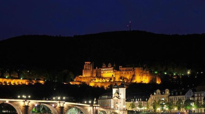 Heidelberg gehört fortan zum Netzwerk der Unesco. Foto: Marius Becker