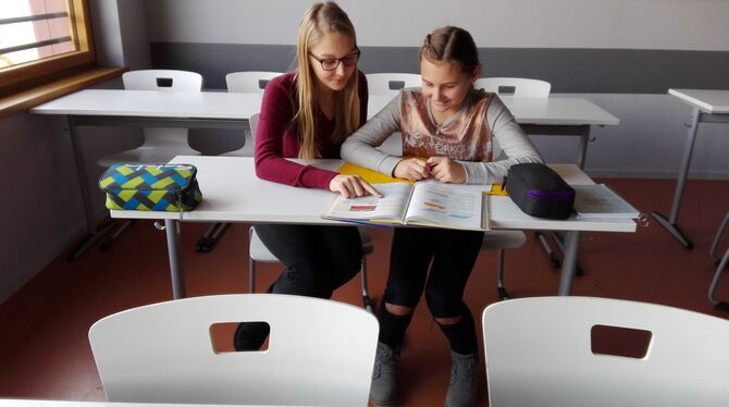 Nachhilfe: Beim schulinternen Projekt am Firstwald-Gymnasium lernen die Schwächeren von den Stärkeren. FOTO: ZMS