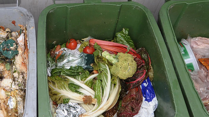 Viel zu oft landet Essen, das noch genießbar wäre, im Müll.  FOTO: DPA