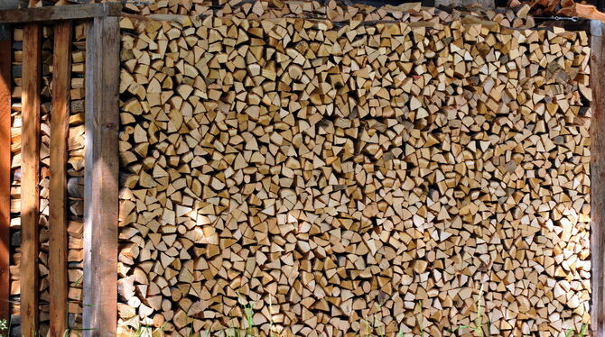 Brennholz macht den größten Teil der Einkünfte aus.  FOTO: PACHER