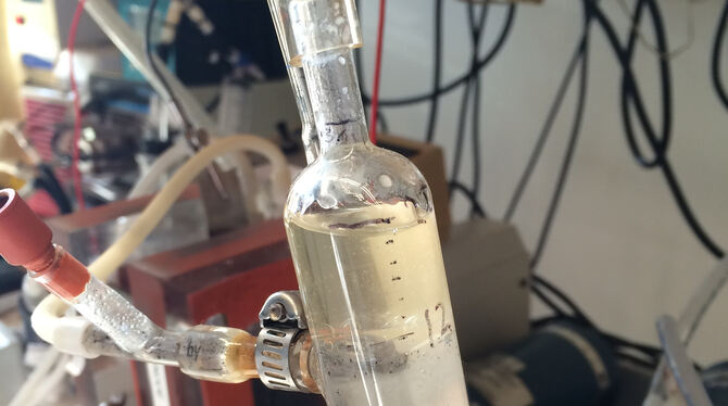 Im Labor funktioniert es: Aus Sauermolke wurde Bio-Öl gewonnen.  FOTO: ANGENENT
