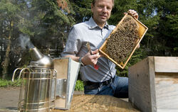 Den Honigbienen geht es im Vergleich zu anderen Insektenarten gut, sagt der Tübinger Biologe Peter Rosenkranz, Leiter der Lehran