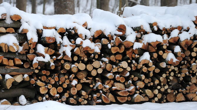 Die Hälfte der 2017 gefällten Bäume im Kusterdinger Gemeindewald wurde als Brennholz verkauft. FOTO: DPA