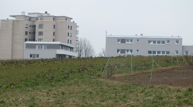 Sie ducken sich sozusagen unter das bestehende Hochhaus: In einem der beiden Neubauten im Pliezhäuser Merzenbachweg werden in di