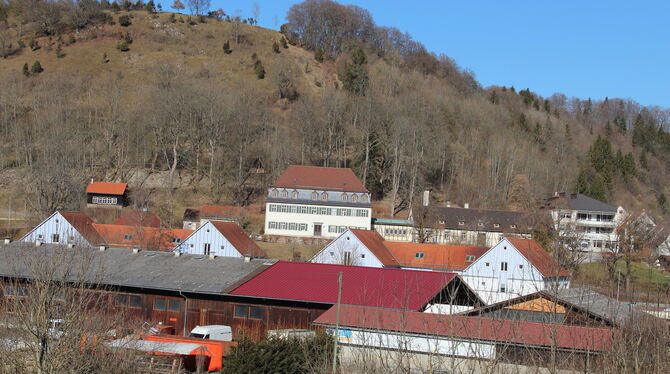 Im Vordergrund Werkstattgebäude, danach die Giebelhäuser mit Wohnbereichen und am Berghang das Schloss mit der Verwaltung der Br