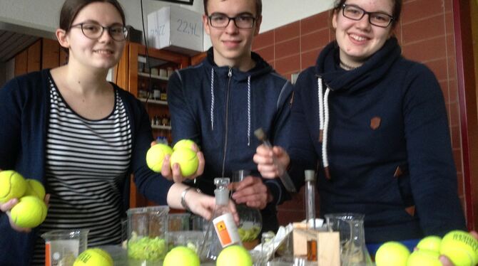 Lea Simic, Benjamin Schenkl und Janine Militsch (von links) haben gelbe Tennisbälle zu ihrem Forschungsprojekt gemacht. FOTO: HO