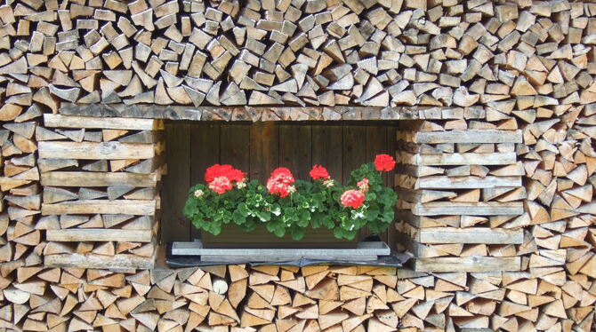 Mit Brennholz zu heizen, ist häufig teurer als gedacht. FOTO: KLIMASCHUTZAGENTUR