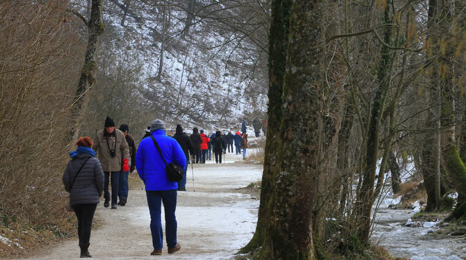 Hunderte Spaziergänger haben in den vergangeen Tagen die Gelegenheit genutzt, sich das Naturschauspiel des vereisten Wasserfalls