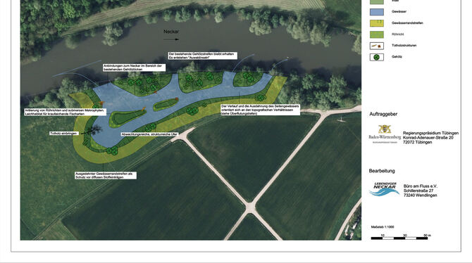 So sieht der Ideenvorschlag zur Schaffung eines Seitenarms am Neckar in Mittelstadt aus.  GRAFIK: RP
