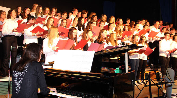 Ein mehr als hundert Sänger starker Chor aus Schülern, Eltern und Lehrern begeisterte beim Konzert der Waldorfschule. FOTO: OLE