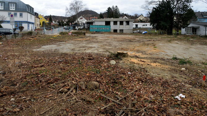 Das Brenz-Gemeindehaus (Bildmitte, hinten) wird dieser Tage abgerissen und Platz für Neubauten geschaffen. FOTO: NIETHAMMER