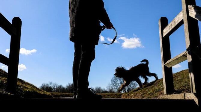 Mann mit Hund vor blauem Himmel