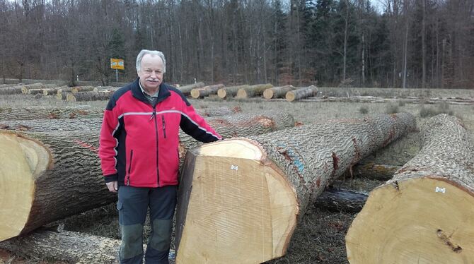 Klaus Franz, Holzverkäufer am Kreisforstamt Reutlingen, präsentiert den teuersten Stamm. FOTO: FRIEDEMANN RUPP, KREISFORSTAMT