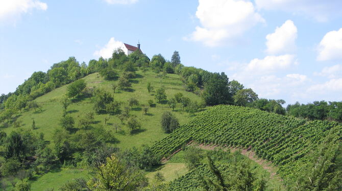Wunderschön und artenreich: der Tübinger Spitzberg mit seinem Ausläufer, dem Wurmlinger Kapellenberg (Bild). Foto: Förder