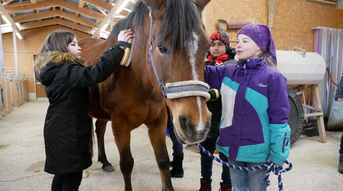 Pferde als Kommunikationspartner: Schulkinder aus dem Kreis lernen im Stall. FOTO: LEISTER