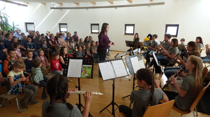 Das Jugendorchester Wannweil spielt unter der Leitung von Dinah Kuhn.  FOTO: BÖRNER