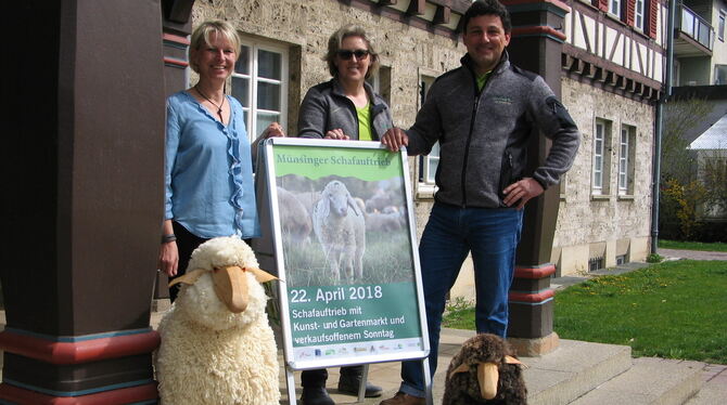 Werben für den Schafauftrieb sowie den Kunst- und Gartenmarkt: Mitarbeiter der Stadtverwaltung. FOTO: OELKUCH