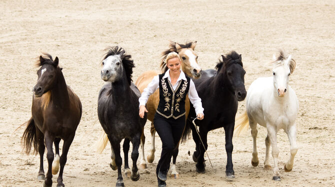Zum ersten Mal bei den Marbach Classics: Die Österreicherin Kerstin Brein, die mit ihren Welsh-Ponys eine Freiheitsdressur zeige