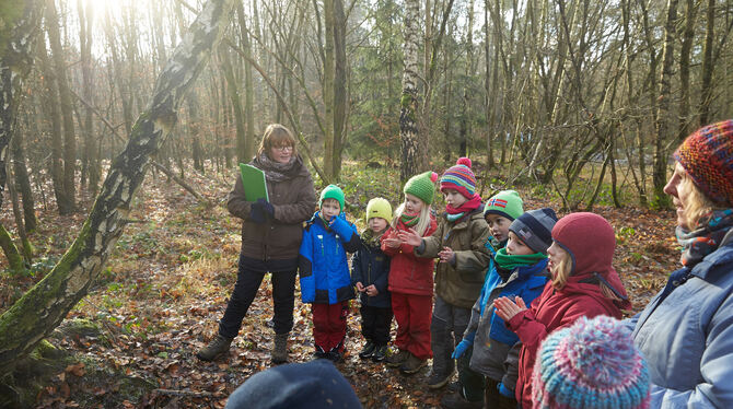 Kinder spielen und lernen mit ihren Erzieherinnen in der Natur: Es gehört zum Grundprinzip eines Wald- oder Naturkindergartens,