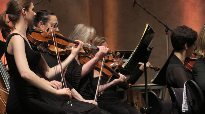 Musiker des Orchesters der Ludwigsburger Schlossfestspiele beim Eröffnungskonzert der Saison im Forum am Schlosspark.  FOTO: KNA