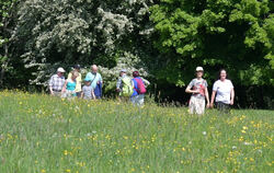 premiumwanderweg_moessingen_meyer_2018_7