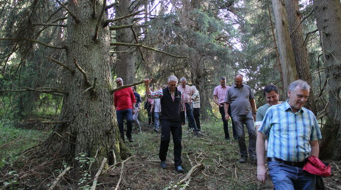 Kommunalpolitiker aus Hohenstein informieren sich über ihren Gemeindewald. Foto: Dewald