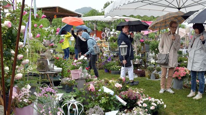 Gut beschirmter Auftakt der Garden Life. Trotz Regens zog es Tausende Besucher aufs Messeareal in der Pomologie. Foto: Meyer Gut beschirmter Auftakt der Garden Life. Trotz Regens zog es Tausende Besucher aufs Messeareal in der Pomologie. Foto: Meyer