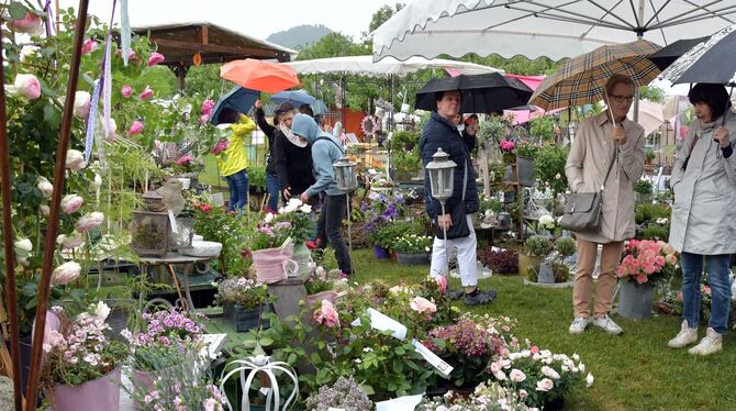 Gut beschirmter Auftakt der Garden Life. Trotz Regens zog es Tausende Besucher aufs Messeareal in der Pomologie. Foto: Meyer