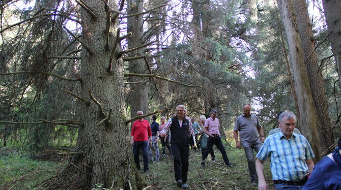 Bürgermeister Jochen Zeller mit Gemeinderäten beim Waldumgang. FOTO: DEWALD