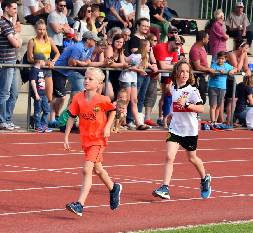 Pliezhausen Langstrecke DM_74