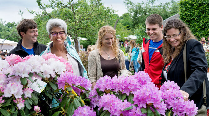 Schwelgen im Blütenmeer: Die Garden Life zog 27 500 Besucher an.  FOTO: TRINKHAUS