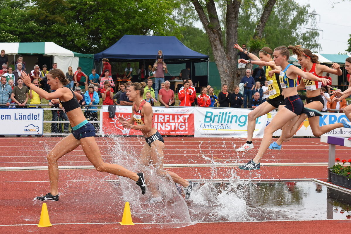 sport-1405-laeufer-meeting86 pacher_bildgröße ändern
