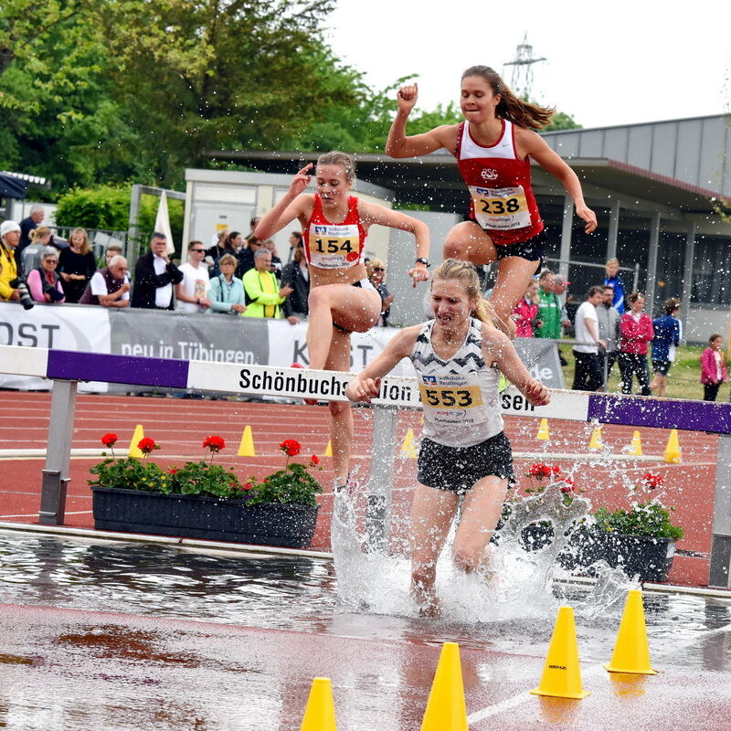 sport-1405-laeufer-meeting89 pacher_bildgröße ändern